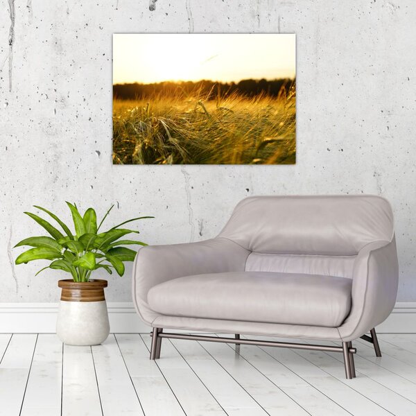 Slika rosne trave (70x50 cm)