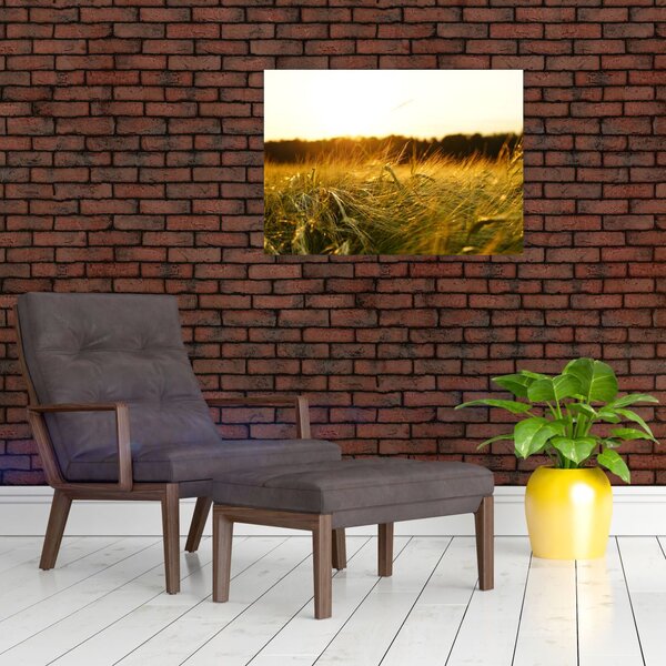 Slika rosne trave (70x50 cm)