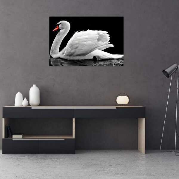 Slika crno-bijelog labuda (90x60 cm)