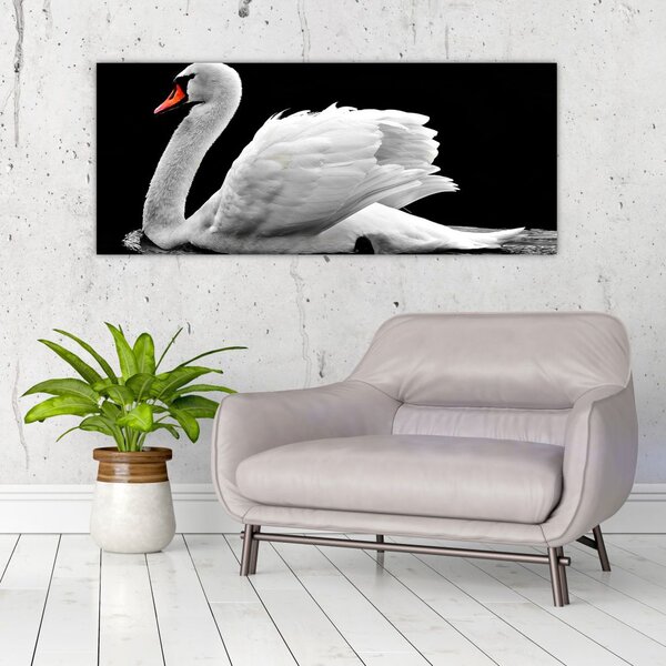 Slika crno-bijelog labuda (120x50 cm)