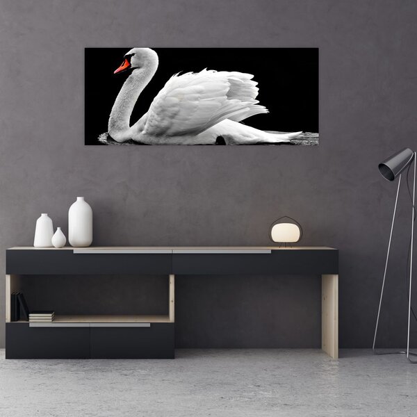 Slika crno-bijelog labuda (120x50 cm)