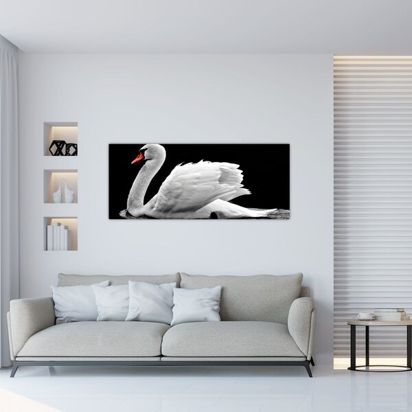Slika crno-bijelog labuda (120x50 cm)