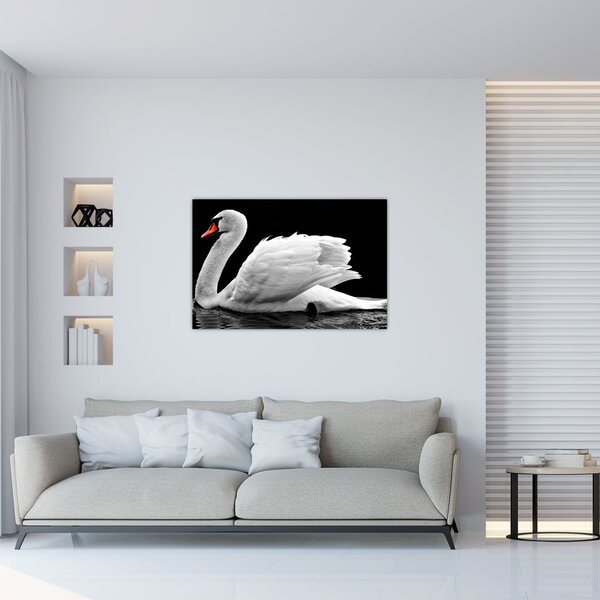 Slika crno-bijelog labuda (90x60 cm)
