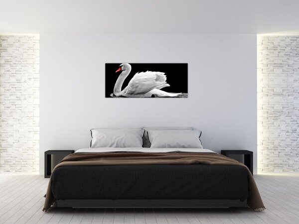 Slika crno-bijelog labuda (120x50 cm)