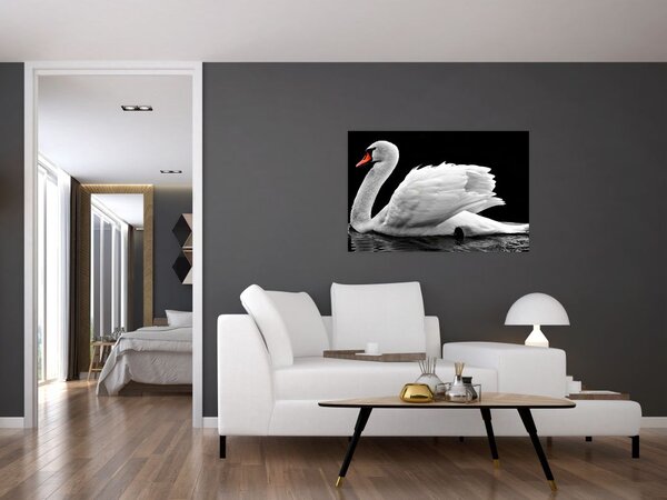 Slika crno-bijelog labuda (90x60 cm)