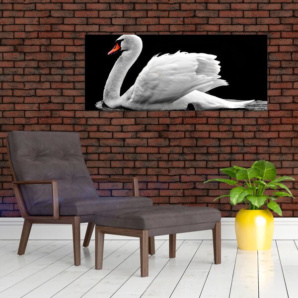 Slika crno-bijelog labuda (120x50 cm)