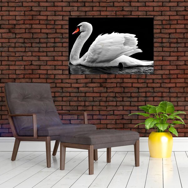 Slika crno-bijelog labuda (90x60 cm)