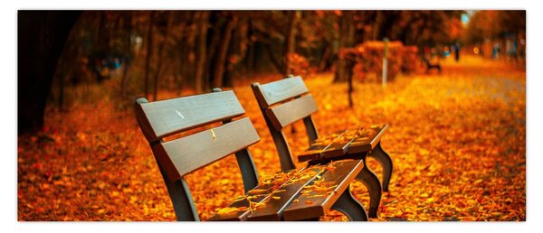 Slika klupe u jesen (120x50 cm)