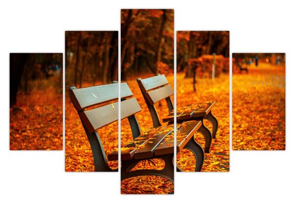 Slika klupe u jesen (150x105 cm)