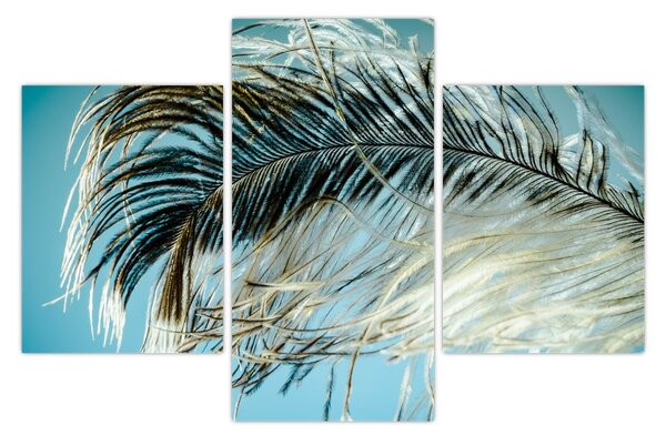 Slika pera (90x60 cm)