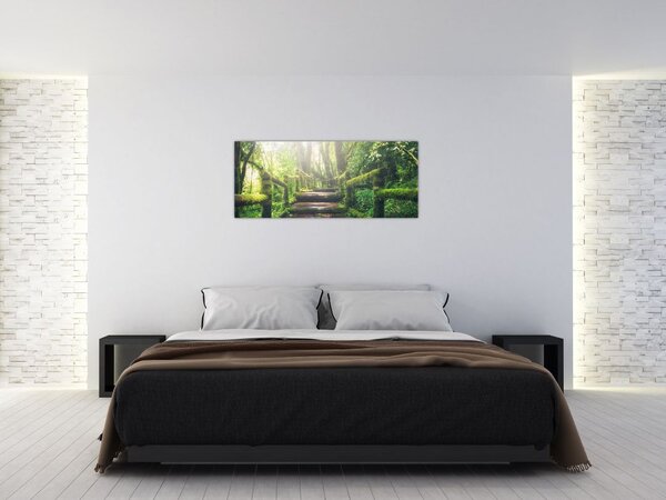 Slika - drvene stepenice u šumi (120x50 cm)