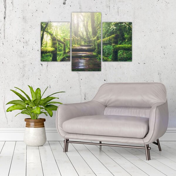 Slika - drvene stepenice u šumi (90x60 cm)