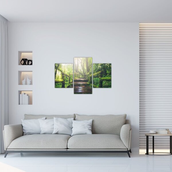 Slika - drvene stepenice u šumi (90x60 cm)