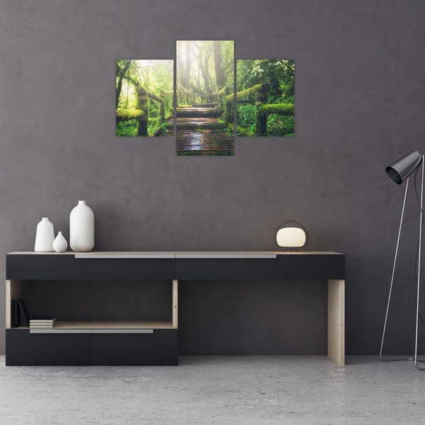 Slika - drvene stepenice u šumi (90x60 cm)