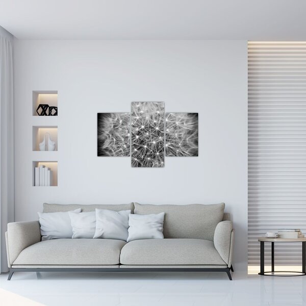 Slika sivog maslačka (90x60 cm)