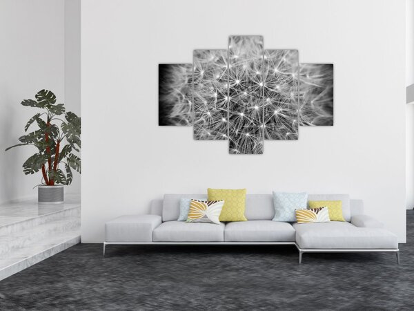Slika sivog maslačka (150x105 cm)