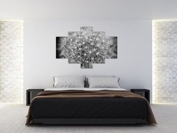 Slika sivog maslačka (150x105 cm)