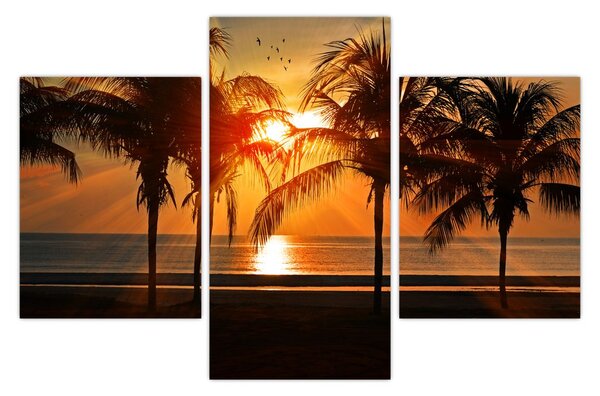 Slika palme pri zalasku sunca (90x60 cm)