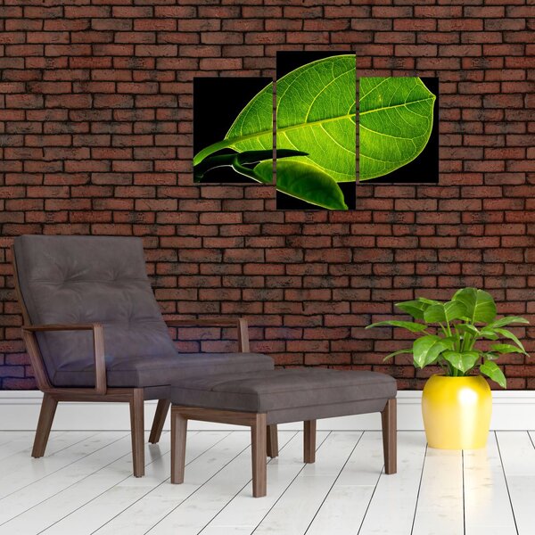 Slika - zeleni list (90x60 cm)