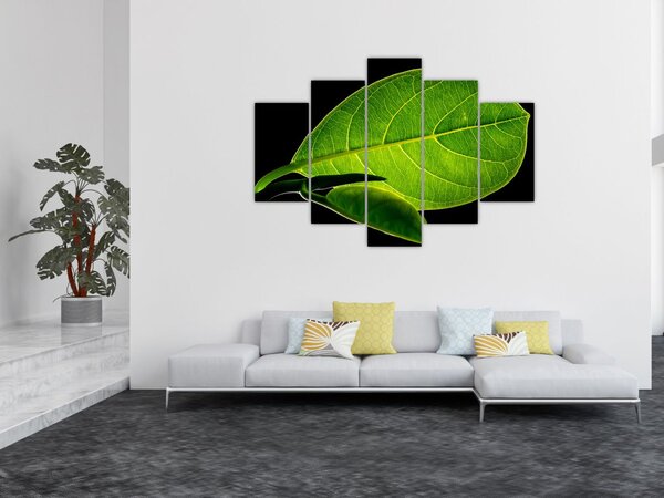 Slika - zeleni list (150x105 cm)
