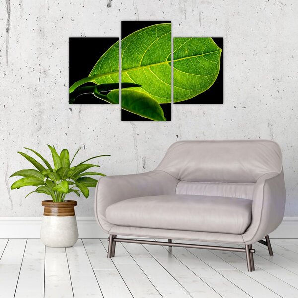 Slika - zeleni list (90x60 cm)