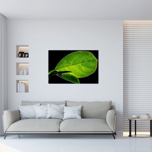 Slika - zeleni list (90x60 cm)