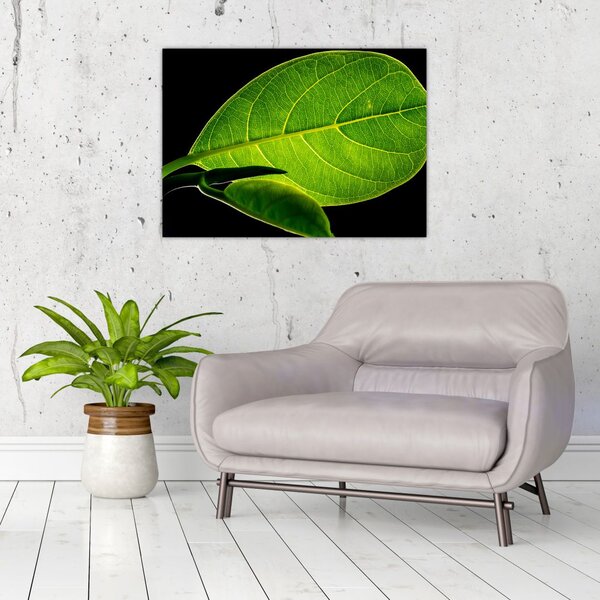 Slika - zeleni list (70x50 cm)
