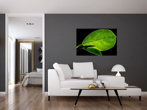 Slika - zeleni list (90x60 cm)