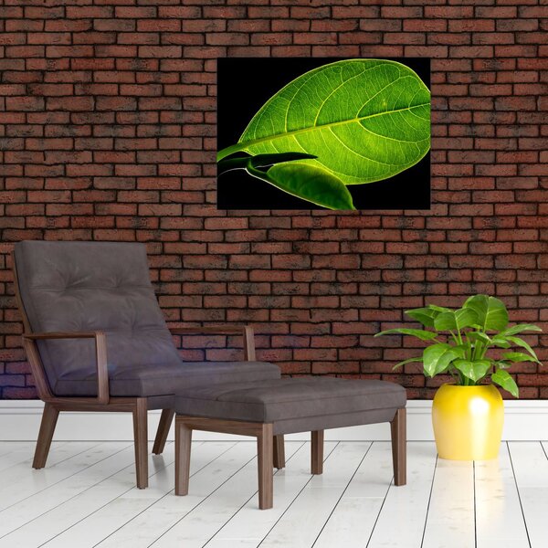 Slika - zeleni list (70x50 cm)