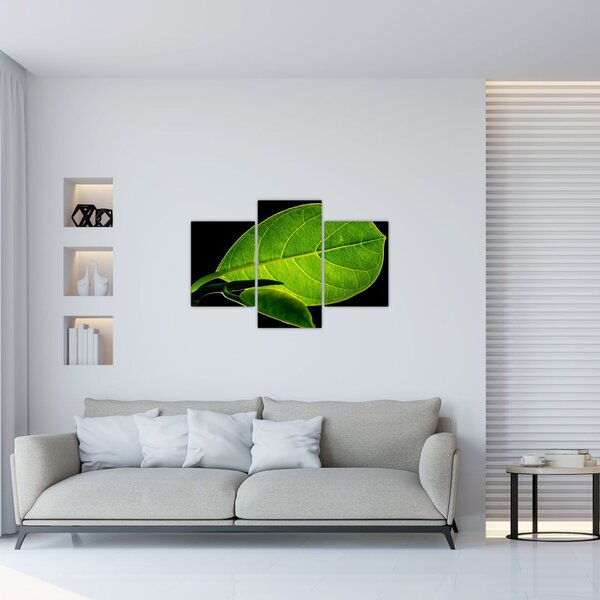 Slika - zeleni list (90x60 cm)