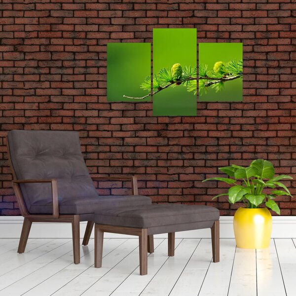 Slika zelenog češera (90x60 cm)