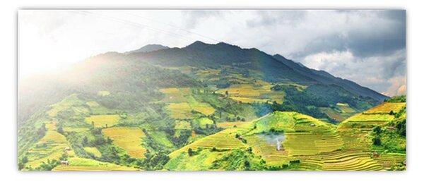 Slika plantaže (120x50 cm)