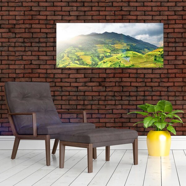 Slika plantaže (120x50 cm)
