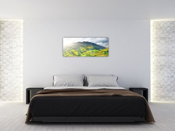 Slika plantaže (120x50 cm)