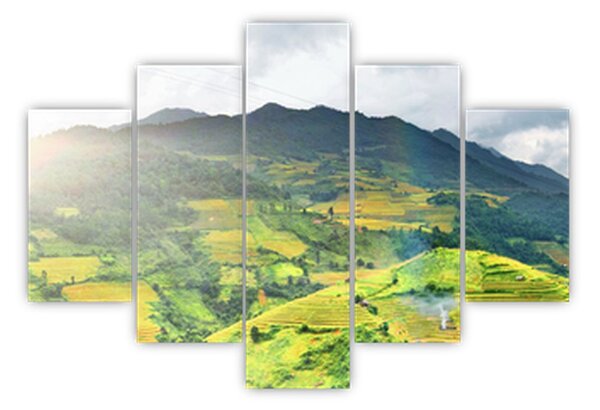 Slika plantaže (150x105 cm)