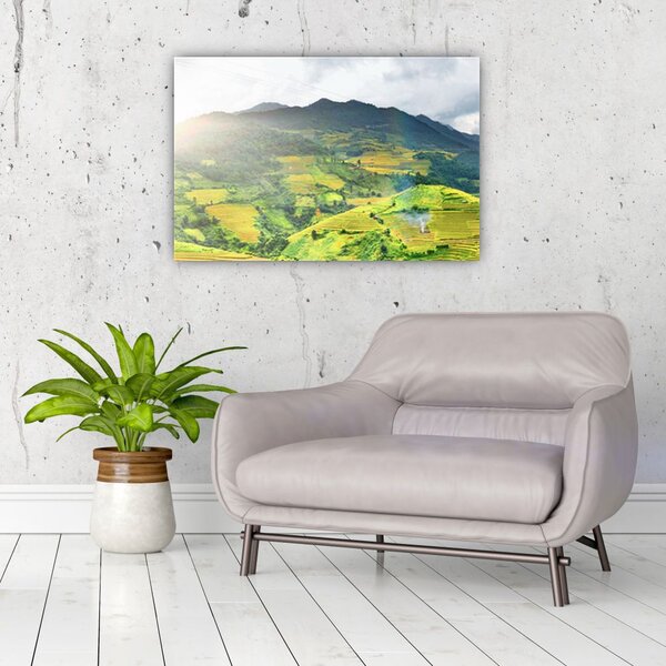 Slika plantaže (90x60 cm)
