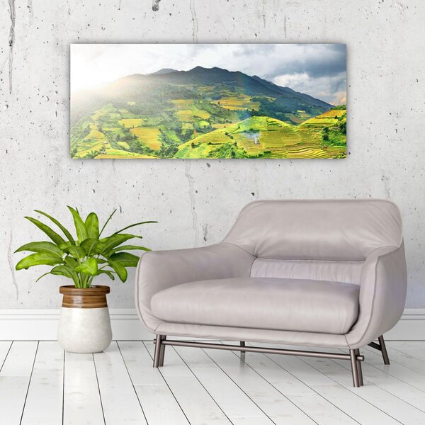 Slika plantaže (120x50 cm)