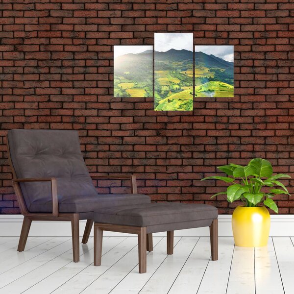 Slika plantaže (90x60 cm)