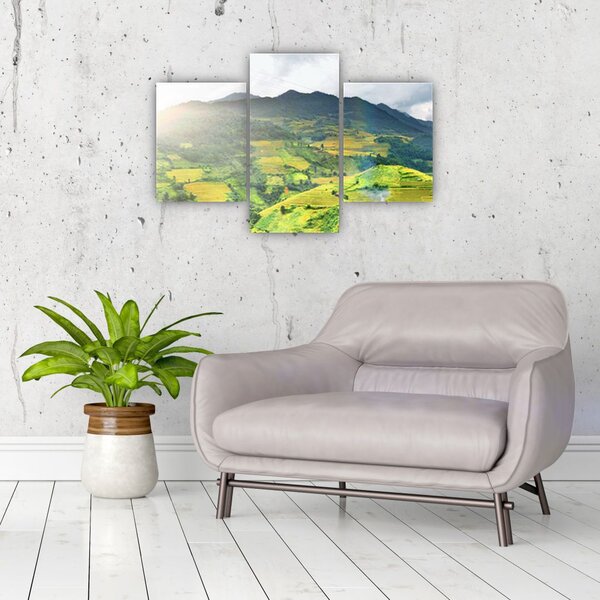 Slika plantaže (90x60 cm)
