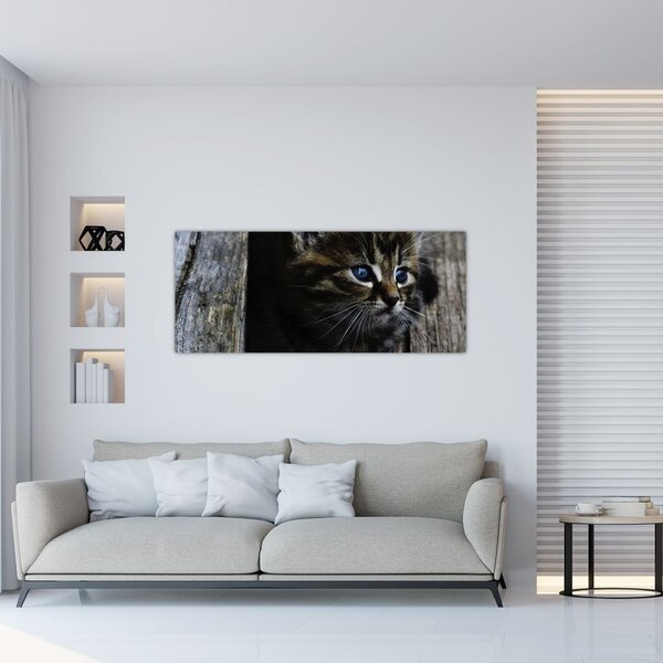 Slika mačića (120x50 cm)