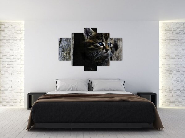 Slika mačića (150x105 cm)