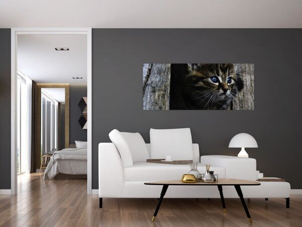 Slika mačića (120x50 cm)