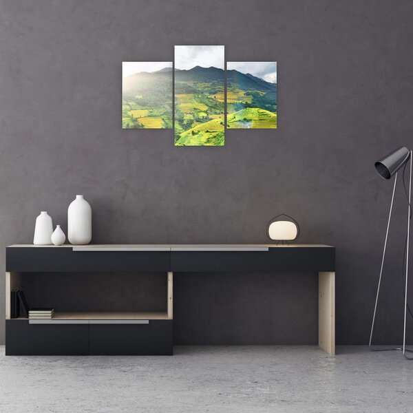 Slika plantaže (90x60 cm)