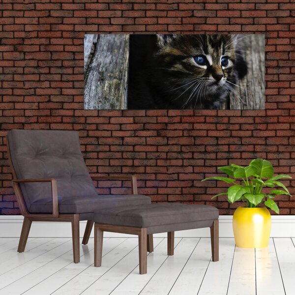 Slika mačića (120x50 cm)