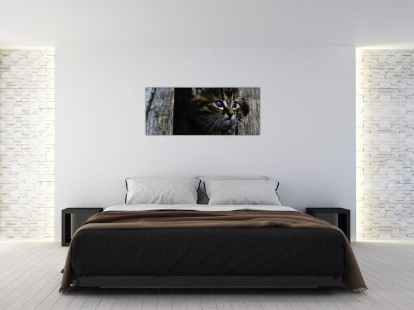 Slika mačića (120x50 cm)