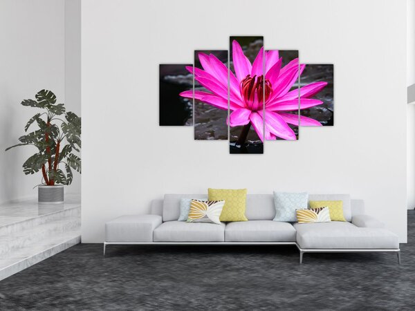 Slika - ružičasti cvijet (150x105 cm)