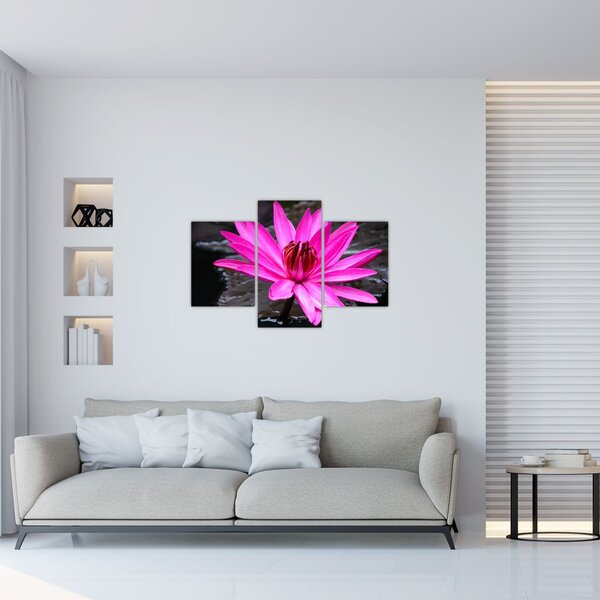 Slika - ružičasti cvijet (90x60 cm)