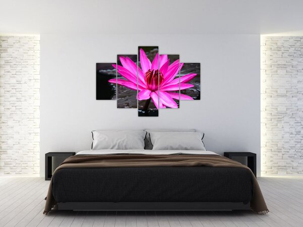 Slika - ružičasti cvijet (150x105 cm)