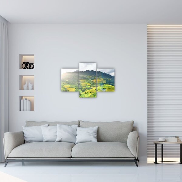 Slika plantaže (90x60 cm)