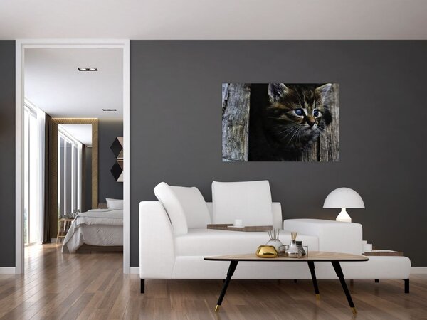 Slika mačića (90x60 cm)